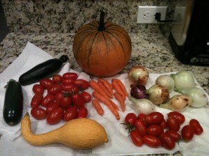 Example of our 2012 garden