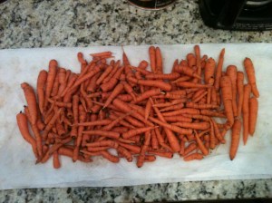 Our funny little 2012 carrots..hahaha