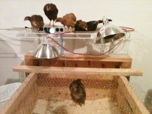 The Fine Wines decided this was a good place to spend the night!