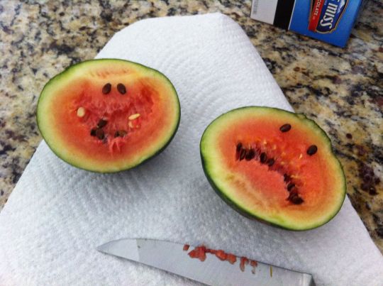 The Yin and Yang of this year's produce...hahaha