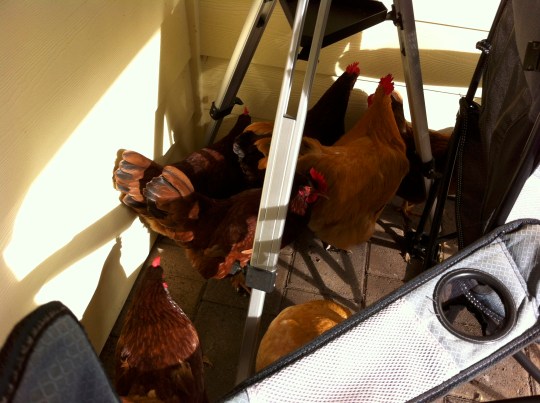 Hiding out from the big, bad monsters.