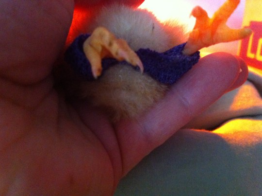 I so hope this works!