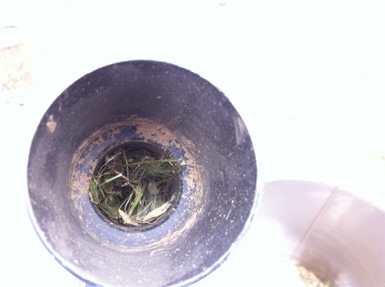 Uh - Oh...that doesn't look good!