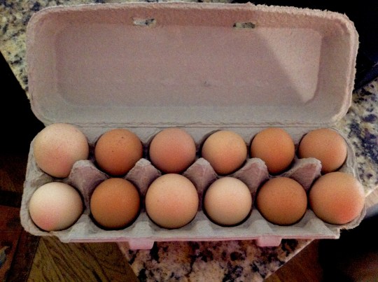 Beautiful golden gems.