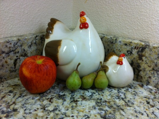 We actually got pears off of the 1st year pear trees...hahahaha