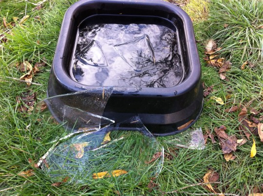 Polar Vortex 11-2014