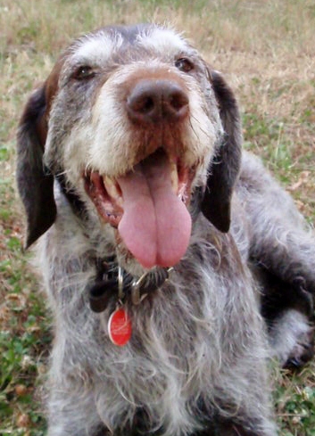 Tucker in the summer of 2012