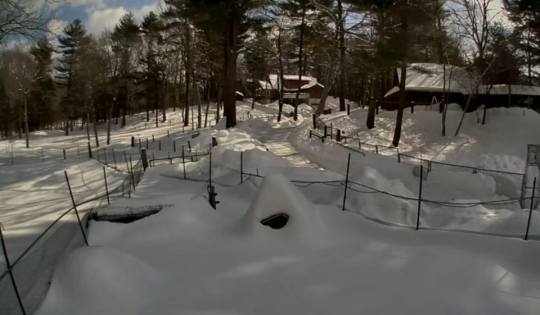 Service Dog Project - Ipswitch, MA  http://www.servicedogproject.org/ ......  snowed over for weeks now!!