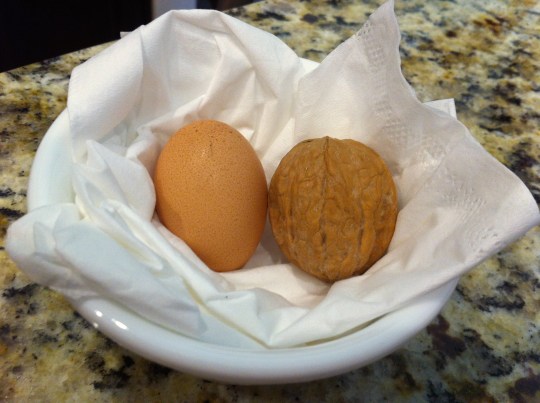 Only about the size of a walnut.