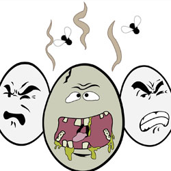 From  http://www.pure-watersolutions.com/makes-water-smell-like-rotten-eggs/