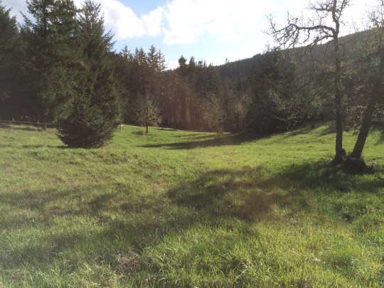 I don't know what the rainbow-esq illumination is in this picutre...