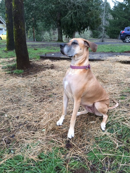 Okay, Penni, now pretend that the wind is blowing really hard!!