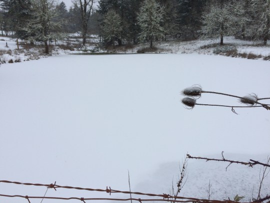 .....the snow deceptively accumulated on top of the frozen layers.